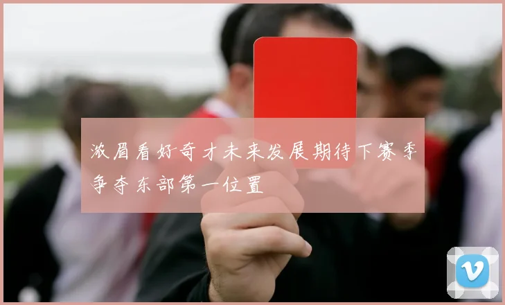浓眉看好奇才未来发展期待下赛季争夺东部第一位置